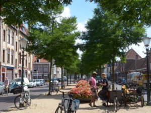 Paviljoensgracht in het oude Centrum